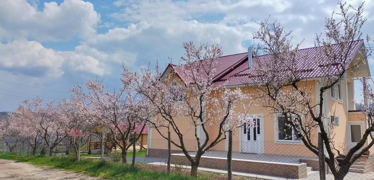 Conacul Mierii Villa Straseni Exterior photo