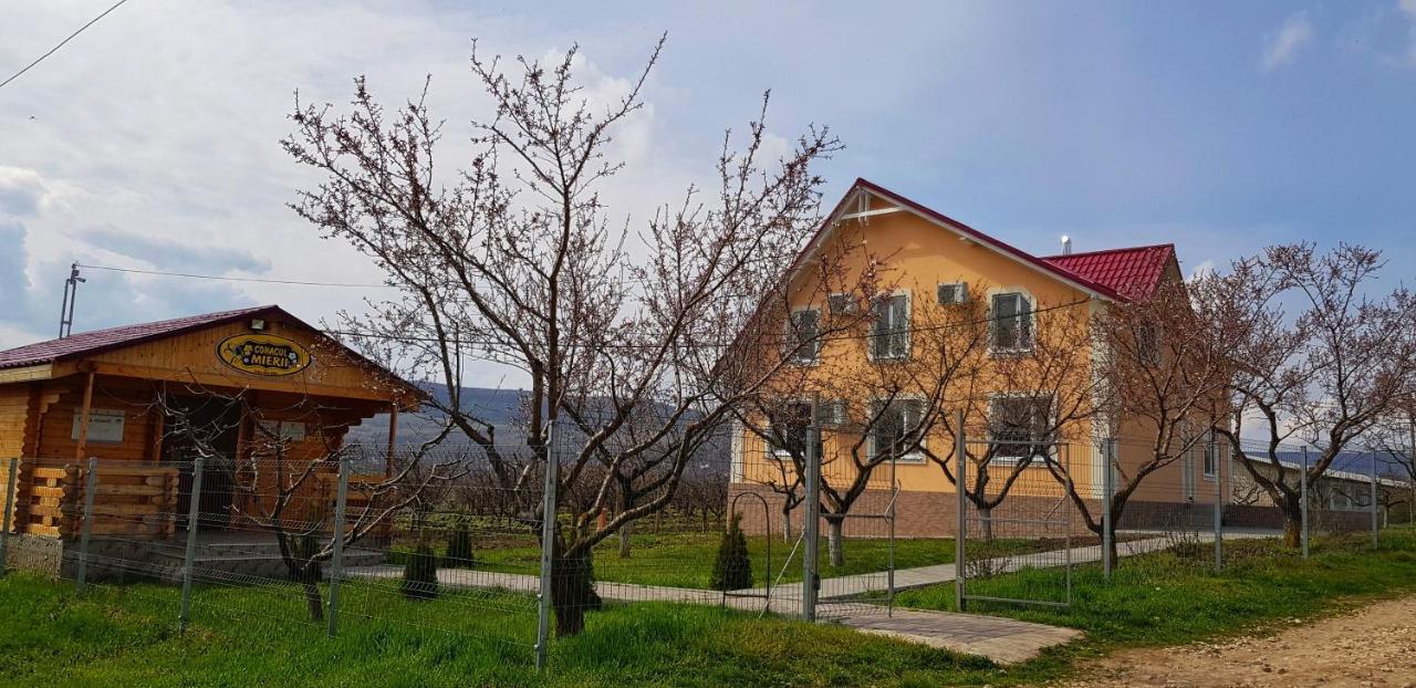 Conacul Mierii Villa Straseni Exterior photo